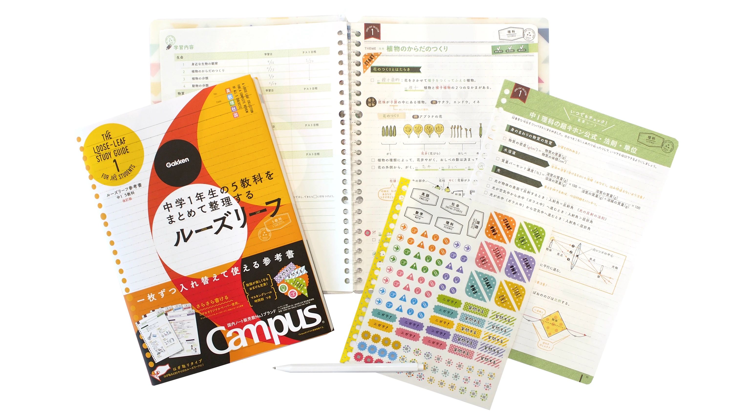 中学5教科をまとめて整理するルーズリーフの中身